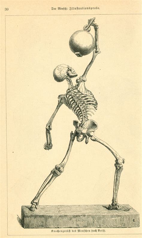 Vintage Skeleton 